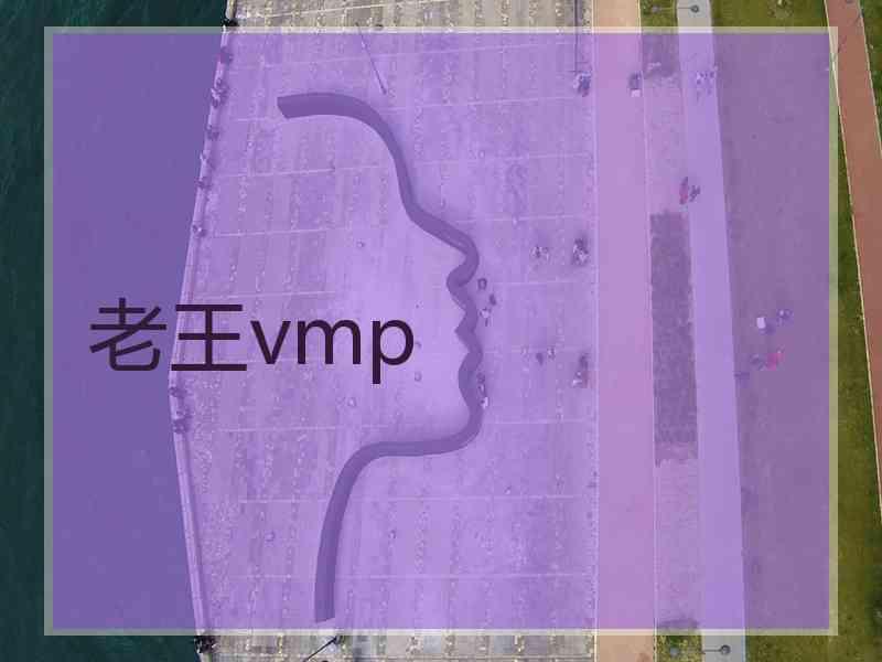 老王vmp