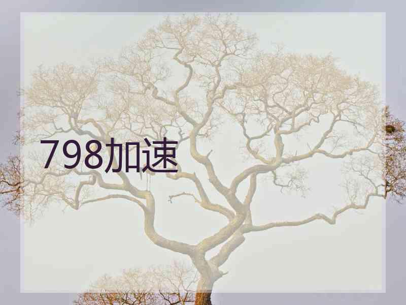 798加速