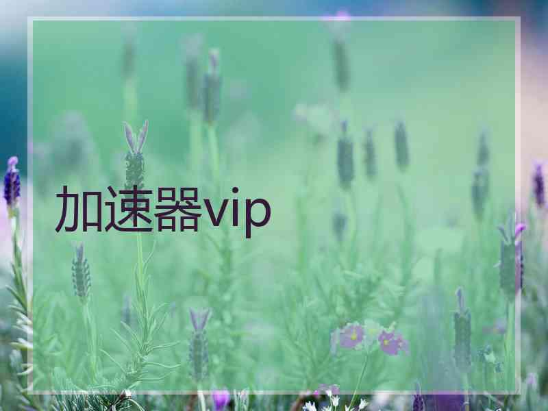 加速器vip