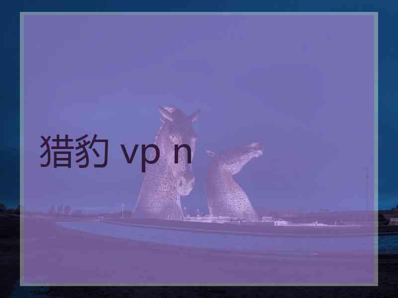 猎豹 vp n