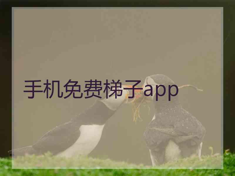 手机免费梯子app