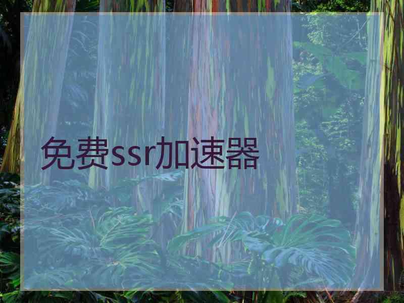 免费ssr加速器