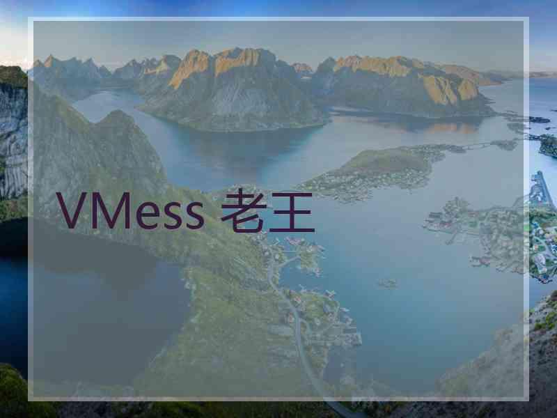 VMess 老王