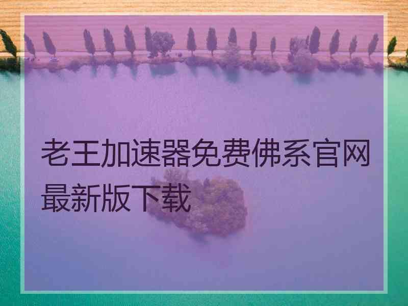 老王加速器免费佛系官网最新版下载