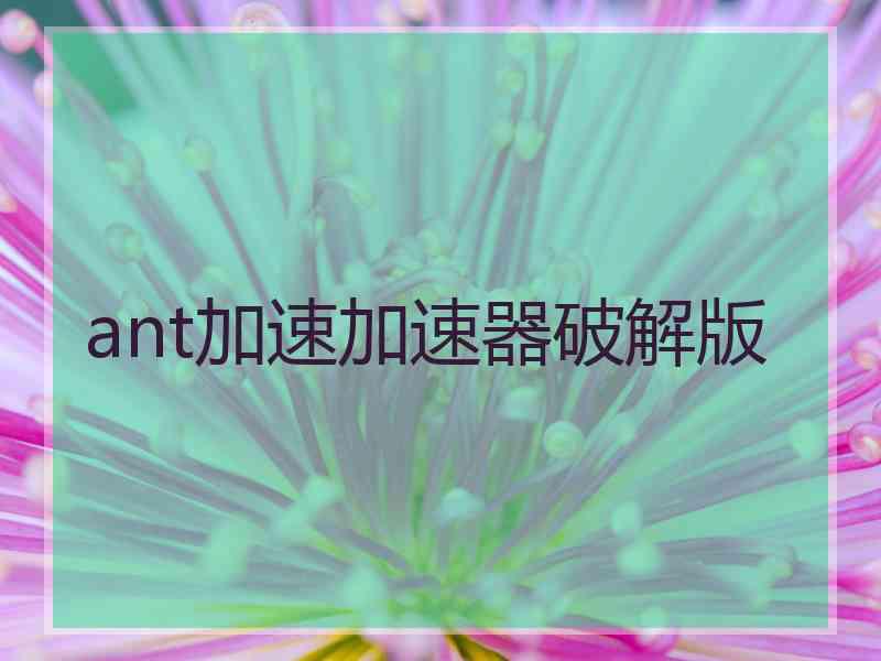 ant加速加速器破解版