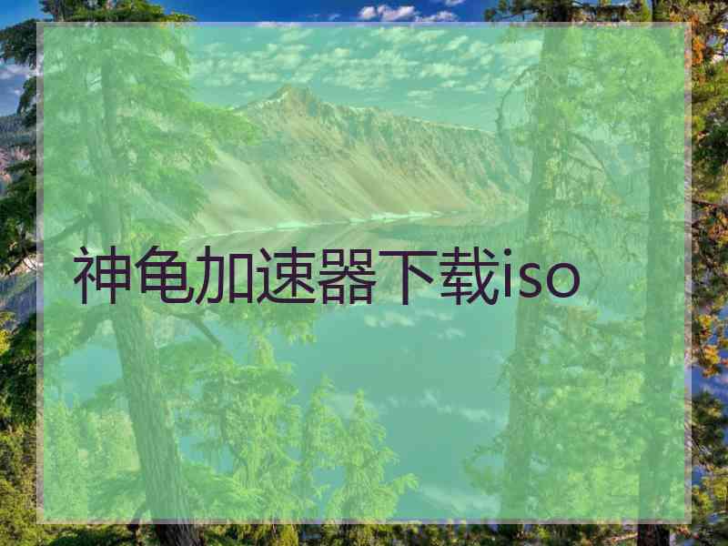 神龟加速器下载iso