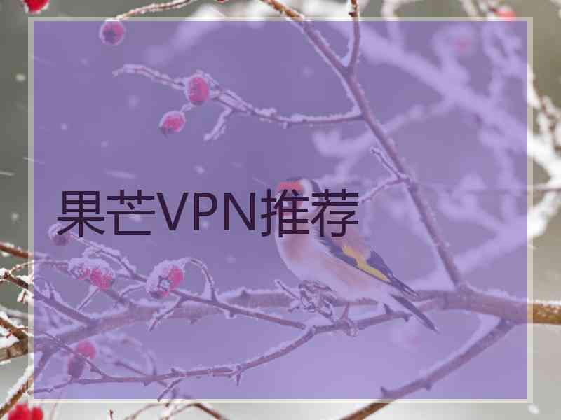 果芒VPN推荐