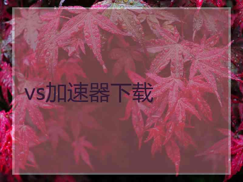 vs加速器下载