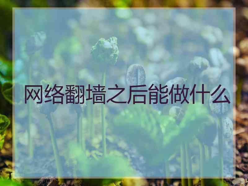 网络翻墙之后能做什么