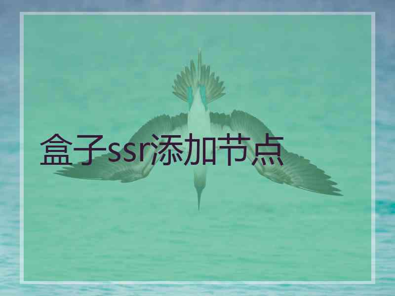 盒子ssr添加节点