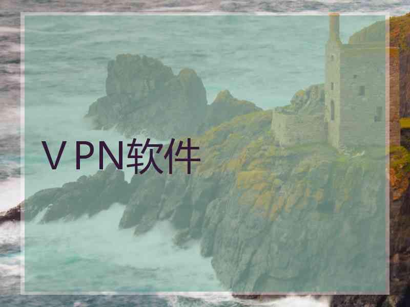 ⅤPN软件