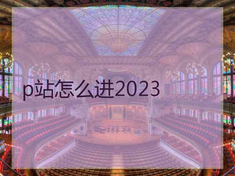 p站怎么进2023