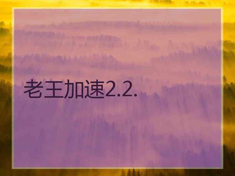 老王加速2.2.