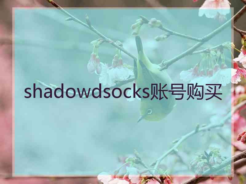 shadowdsocks账号购买