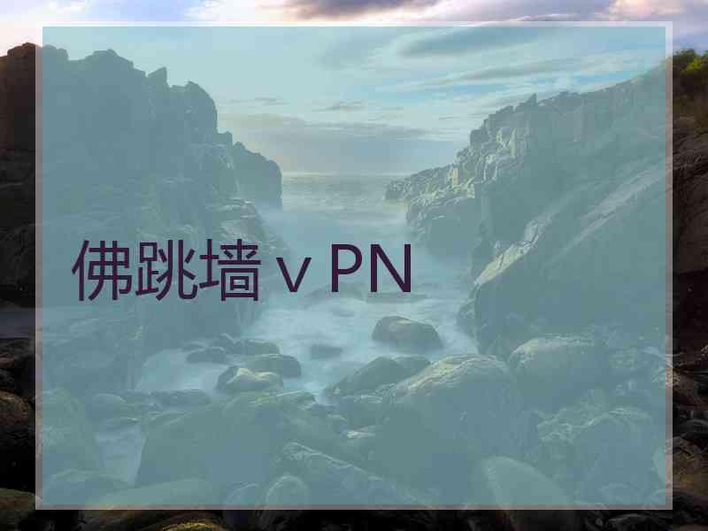 佛跳墙ⅴPN