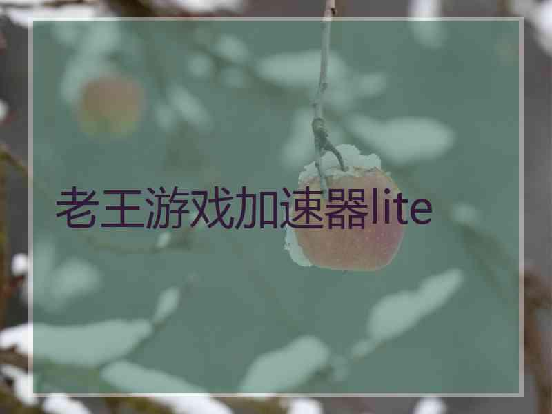 老王游戏加速器lite