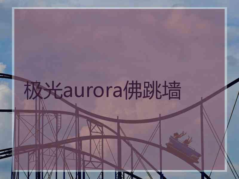 极光aurora佛跳墙