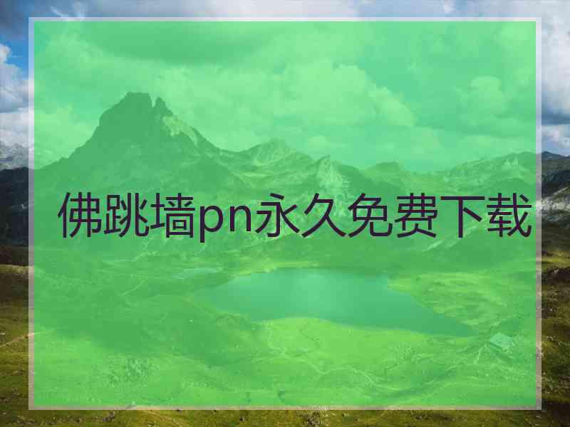 佛跳墙pn永久免费下载