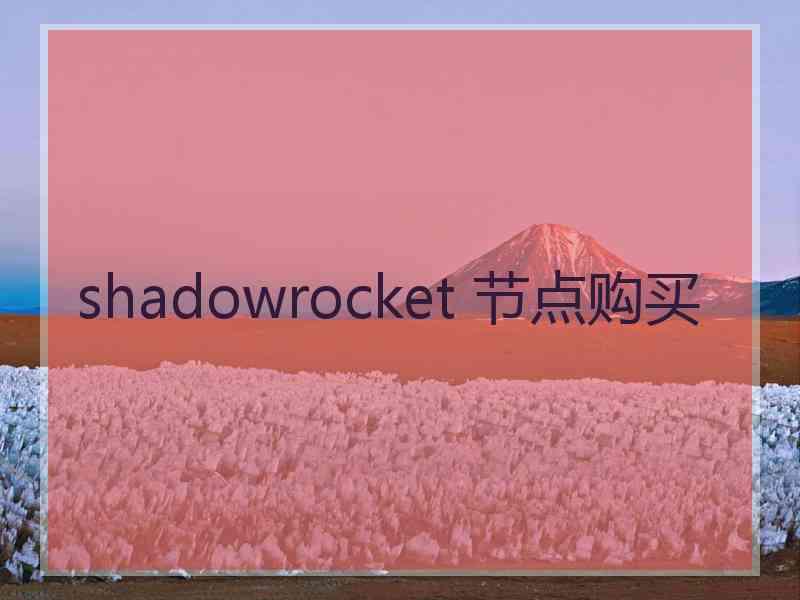 shadowrocket 节点购买