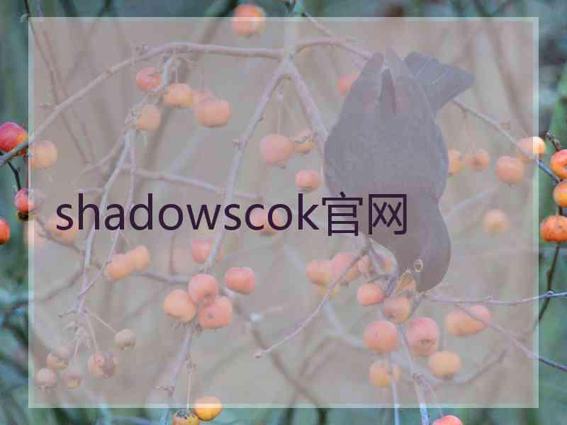 shadowscok官网