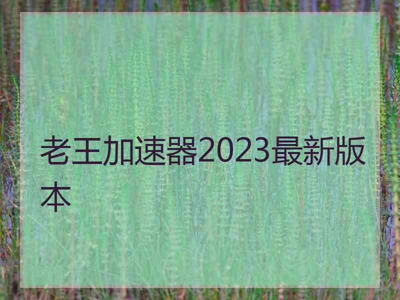 老王加速器2023最新版本