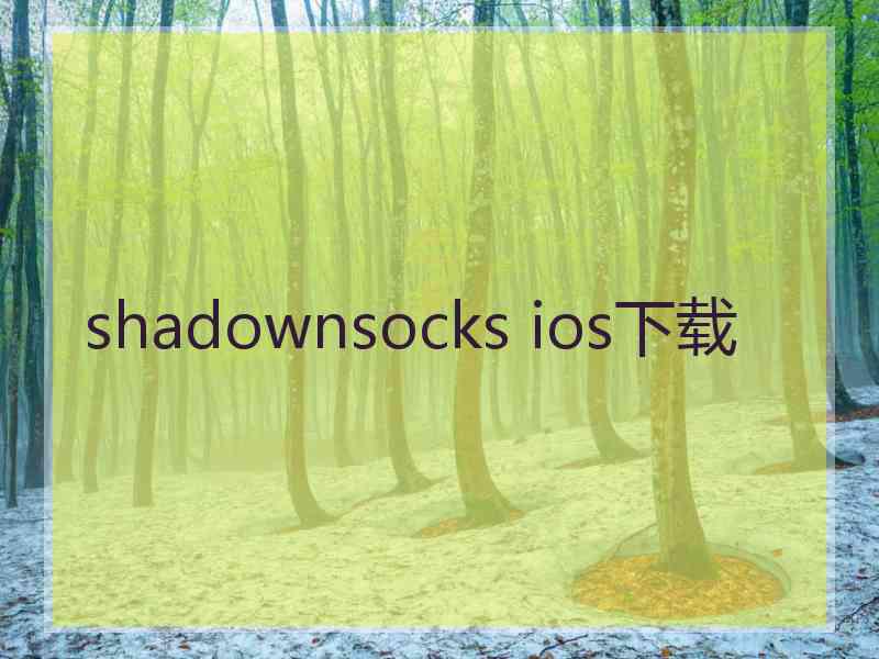 shadownsocks ios下载