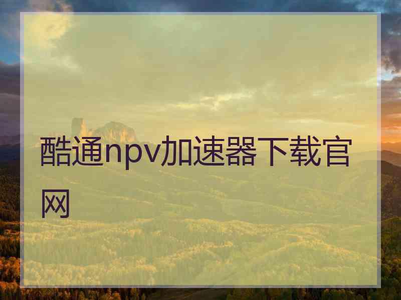 酷通npv加速器下载官网