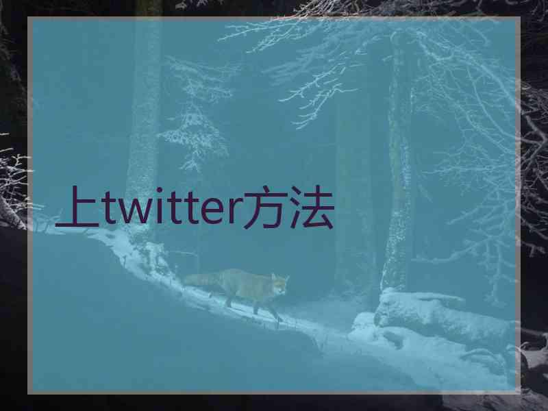 上twitter方法