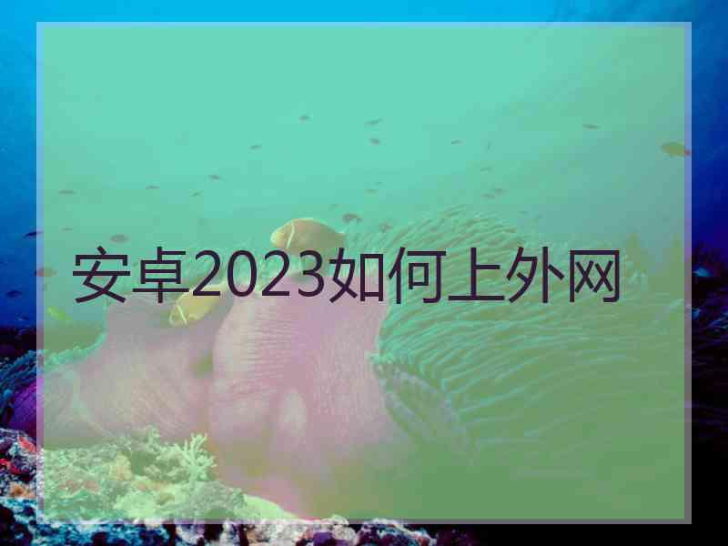 安卓2023如何上外网