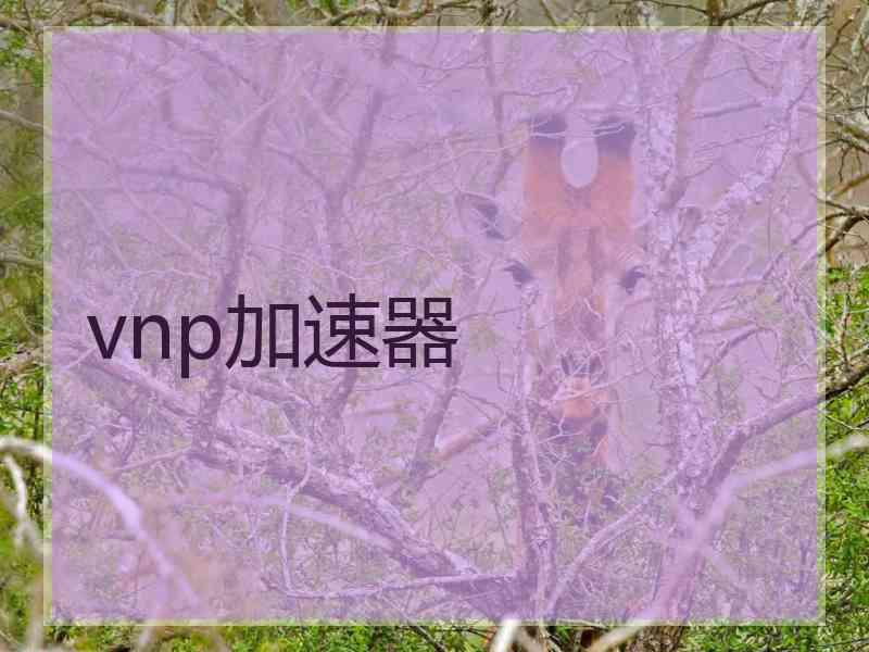 vnp加速器