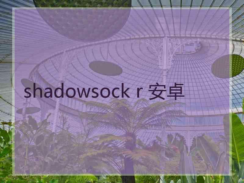 shadowsock r 安卓