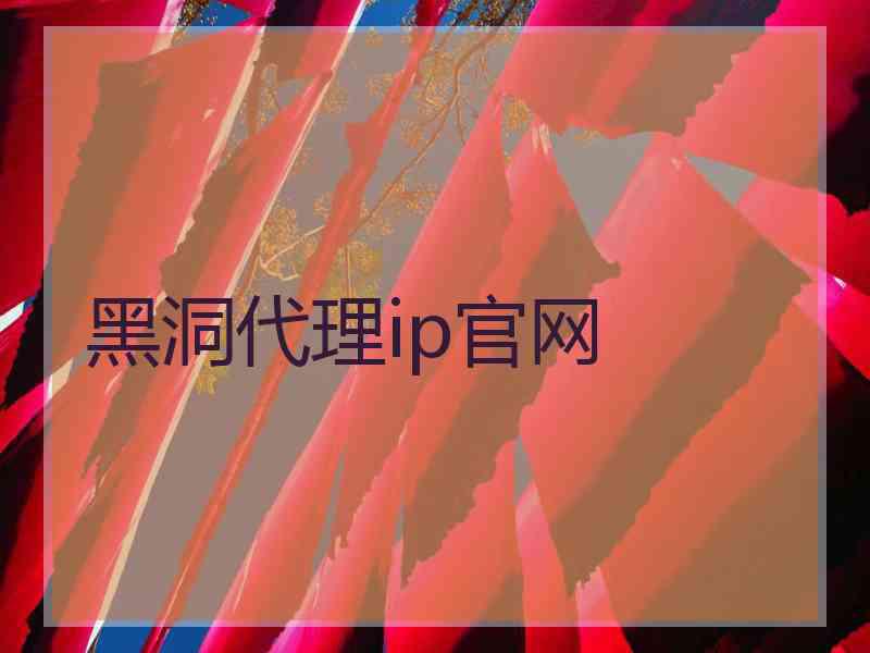 黑洞代理ip官网