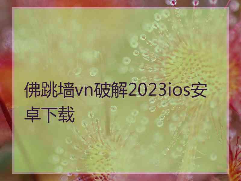 佛跳墙vn破解2023ios安卓下载