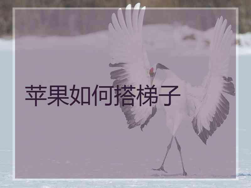 苹果如何搭梯子