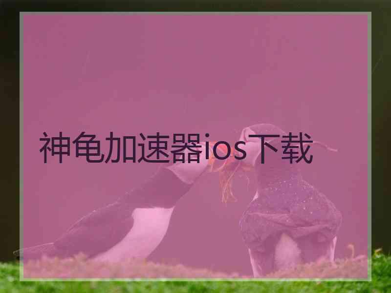 神龟加速器ios下载