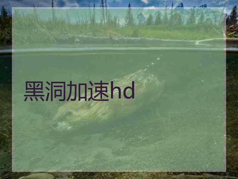 黑洞加速hd