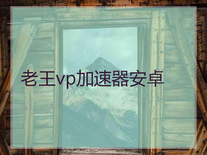 老王vp加速器安卓