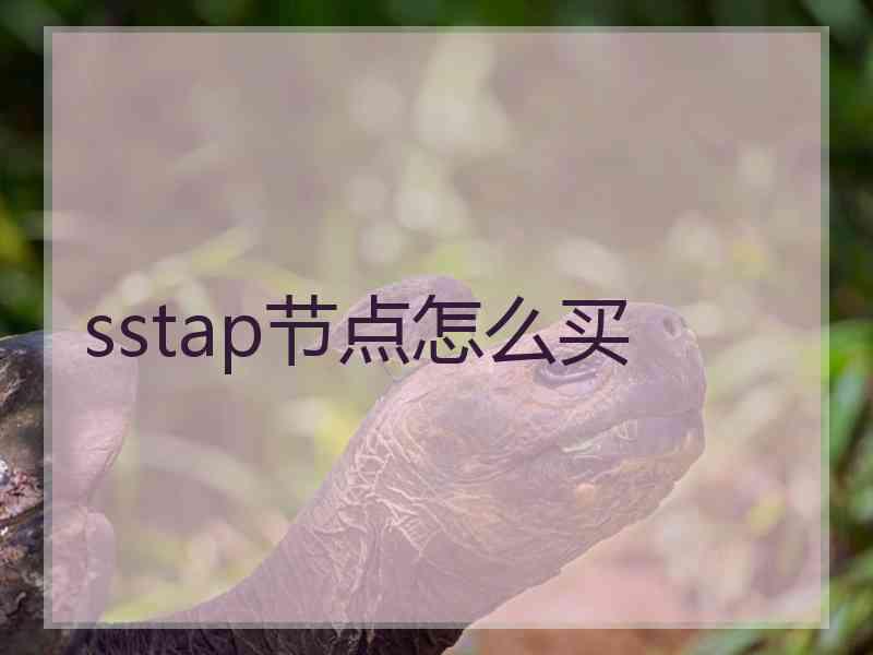 sstap节点怎么买