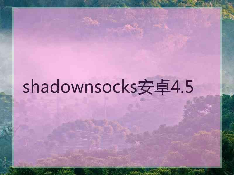 shadownsocks安卓4.5