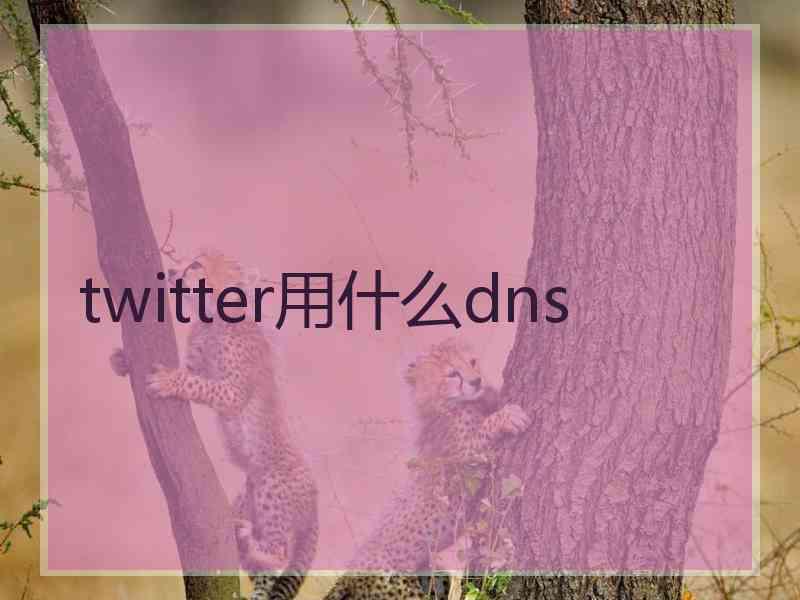 twitter用什么dns