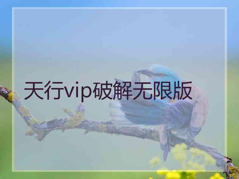 天行vip破解无限版