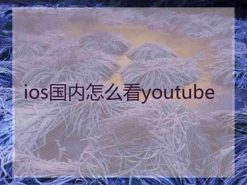 ios国内怎么看youtube