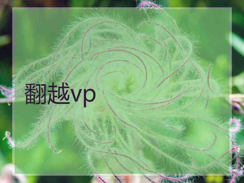 翻越vp