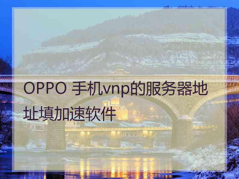 OPPO 手机vnp的服务器地址填加速软件