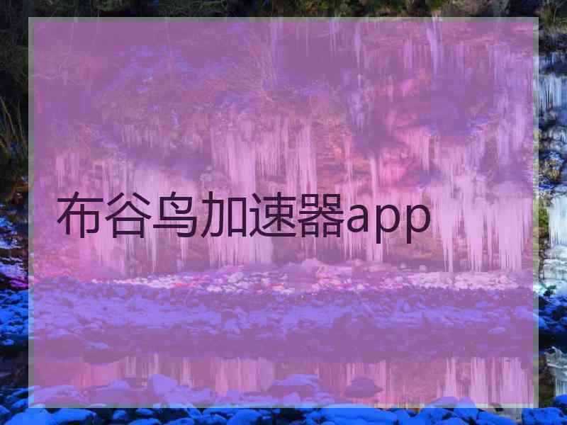 布谷鸟加速器app