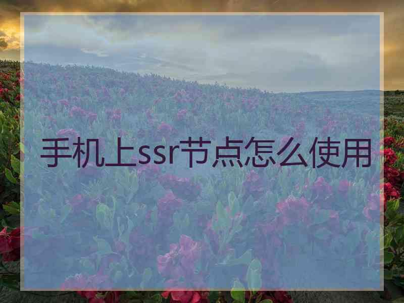 手机上ssr节点怎么使用