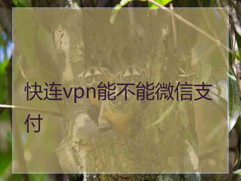 快连vpn能不能微信支付