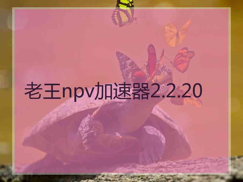 老王npv加速器2.2.20