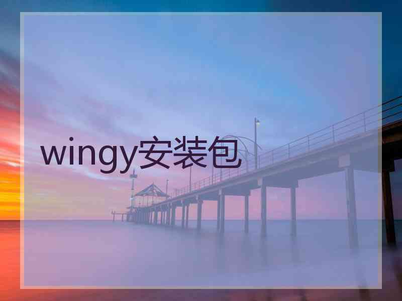 wingy安装包