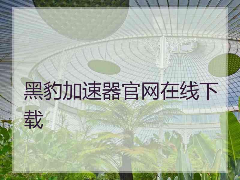 黑豹加速器官网在线下载